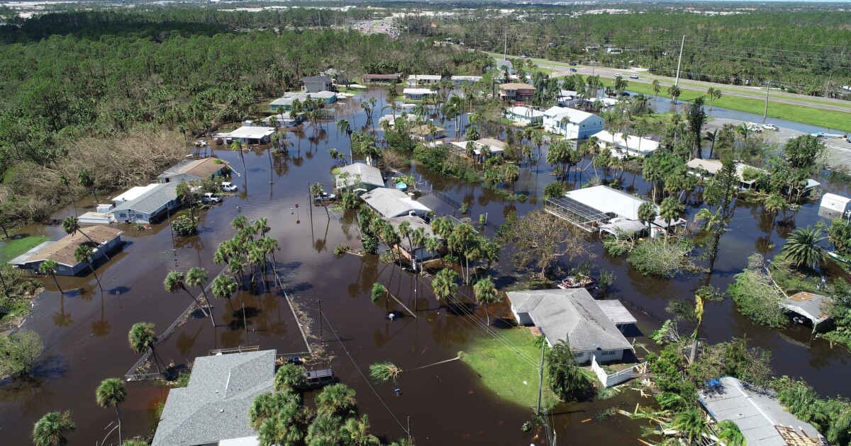 Citizens Property Insurance Rejected 77% of Florida Homeowners’ Claims from Hurricane Debby, New Data Reveals