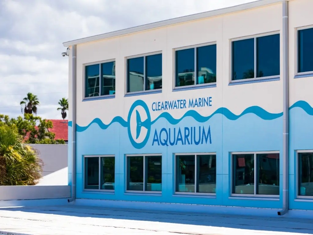 Clearwater Marine Aquarium Set to Reopen After Hurricanes Milton and&nbsp;Helene