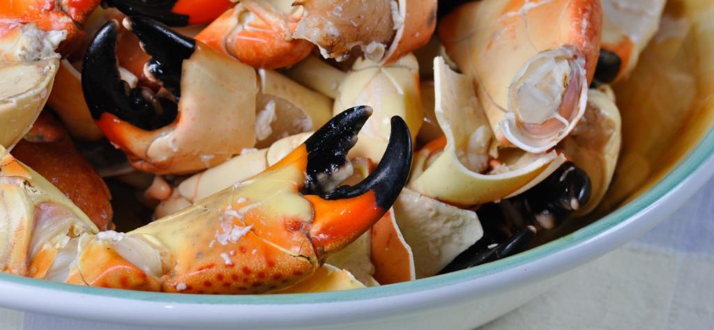 Historic Stone Crab Festival Relocates to Dunedin Following Storm&nbsp;Damage