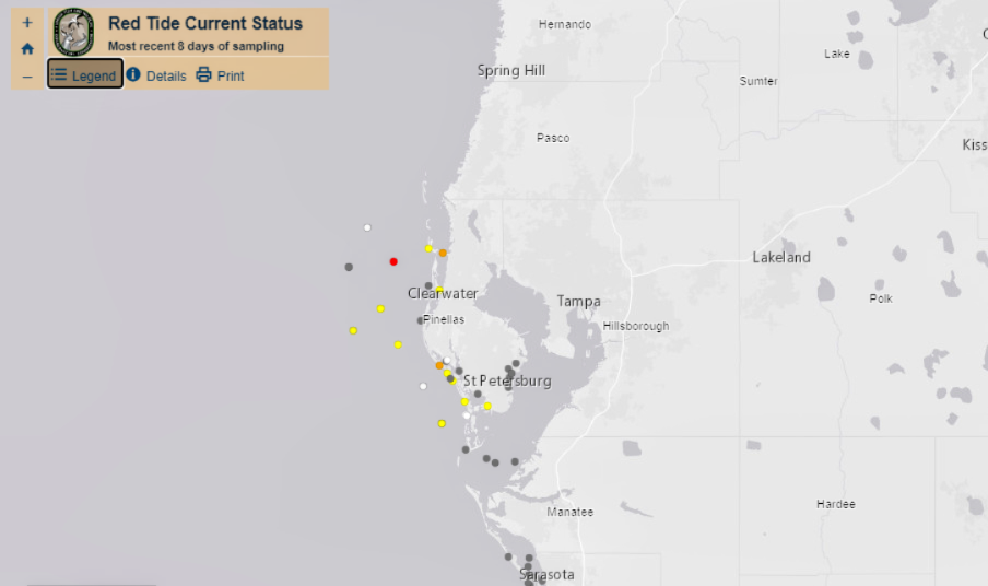 Local Red Tide Worsens After Storms