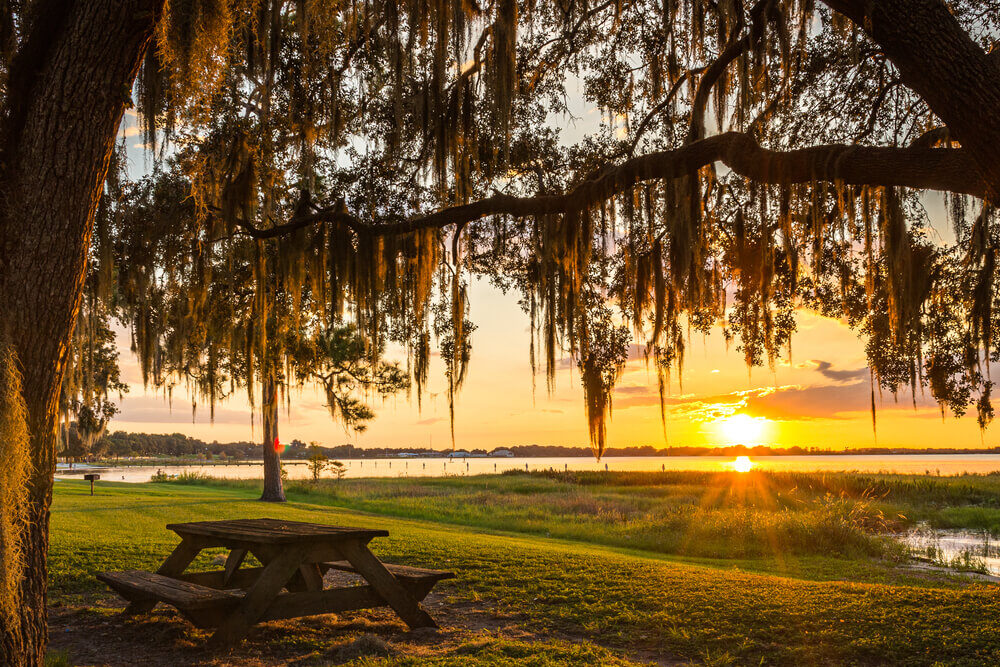 Pinellas County Government Announces Park Reopenings