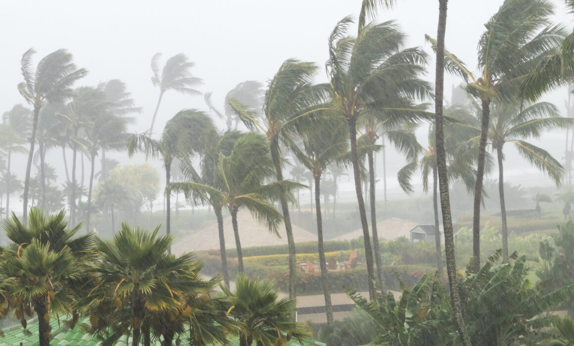 Potential for 3 More Named Storms This Hurricane Season