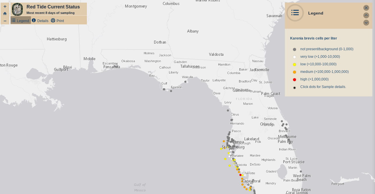 Red Tide and Bacteria Levels Persist, Spike in Southwest Florida and Pinellas Waters Weeks After Hurricanes