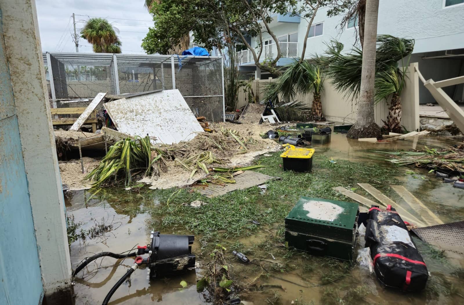 Resilient Avian Haven Weathers Hurricane Helene’s Fury