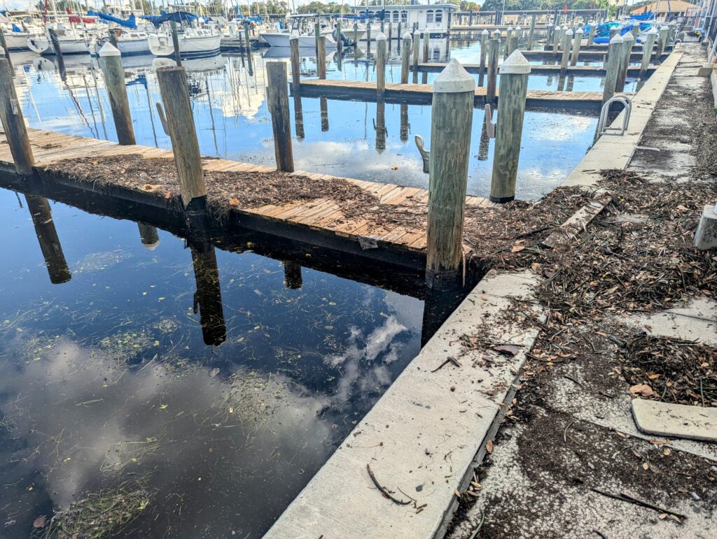 St. Petersburg’s Municipal Marina Remains a Community in Limbo