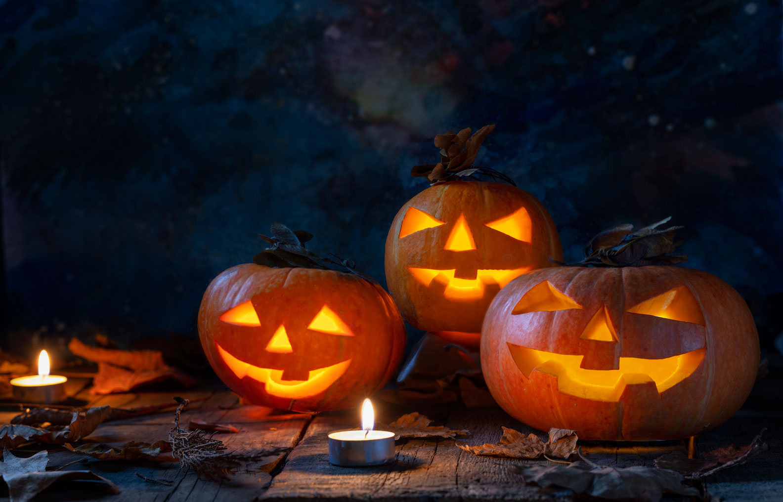 St. Pete’s Spooktacular Halloween Guide: Thrills, Chills, and Pumpkin Spice Fills
