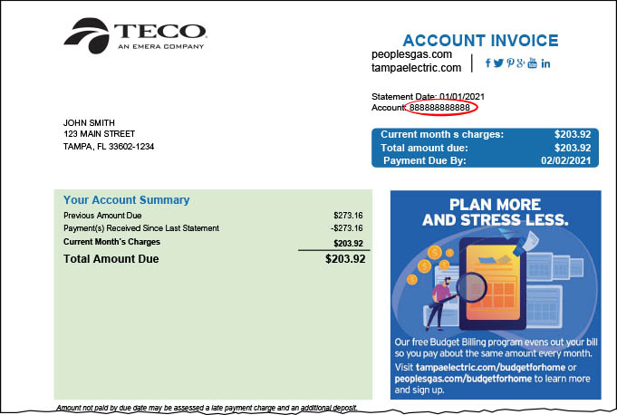 TECO Proposed Rate Increase Sparks Stiff Opposition
