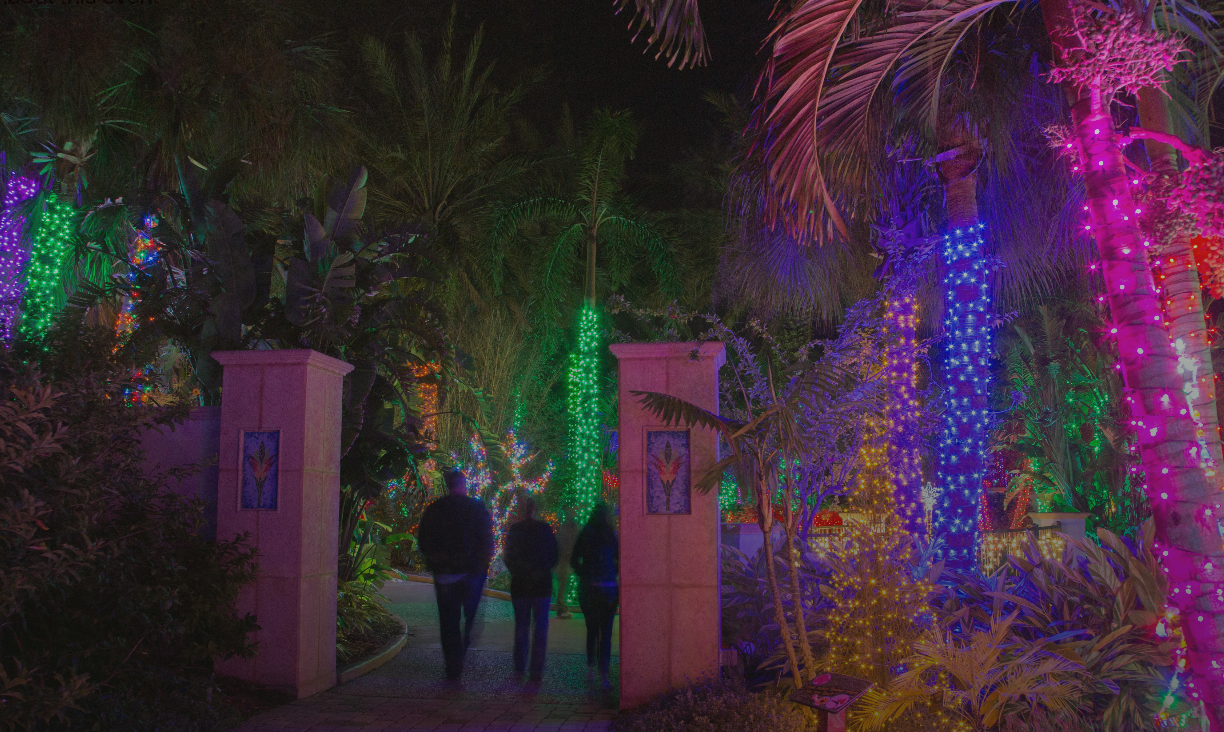 Experience a Million Lights at Florida Botanical Gardens’ Holiday Extravaganza