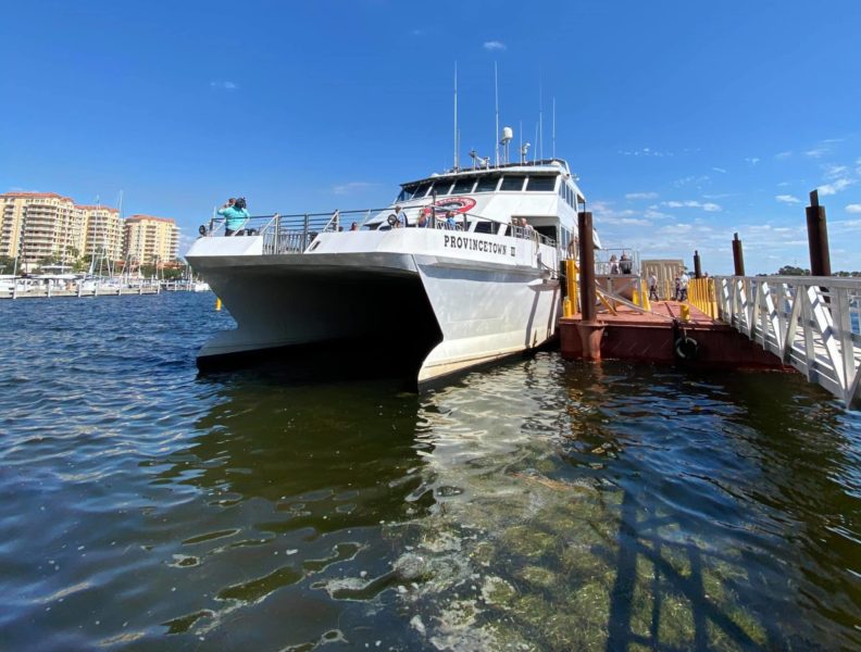 Federal Ferry Grant Could Fund Permanent Dock for Cross Bay Ferry in St. Petersburg