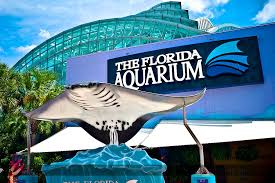 Florida Aquarium Offers Free Admission to Veterans and Active Duty Military for Veterans Day