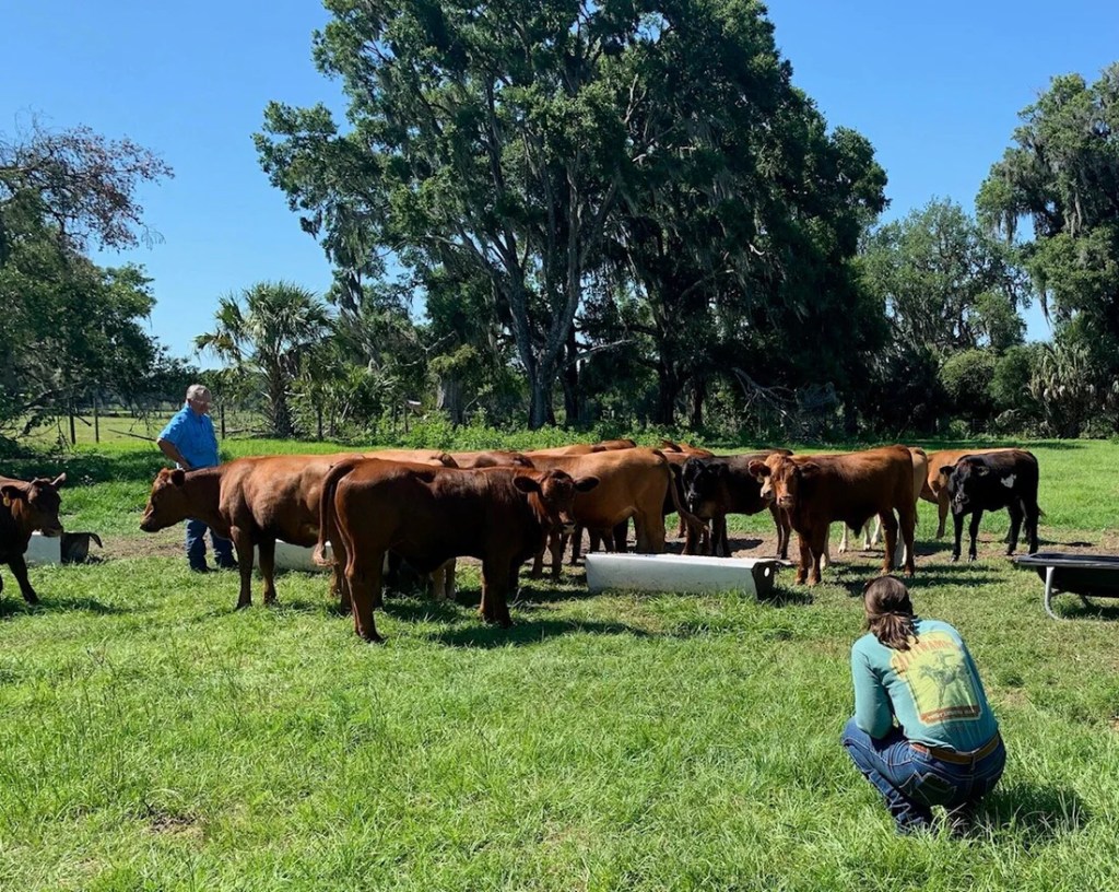 Old Florida Farm Inspires New Generation of&nbsp;Ranchers