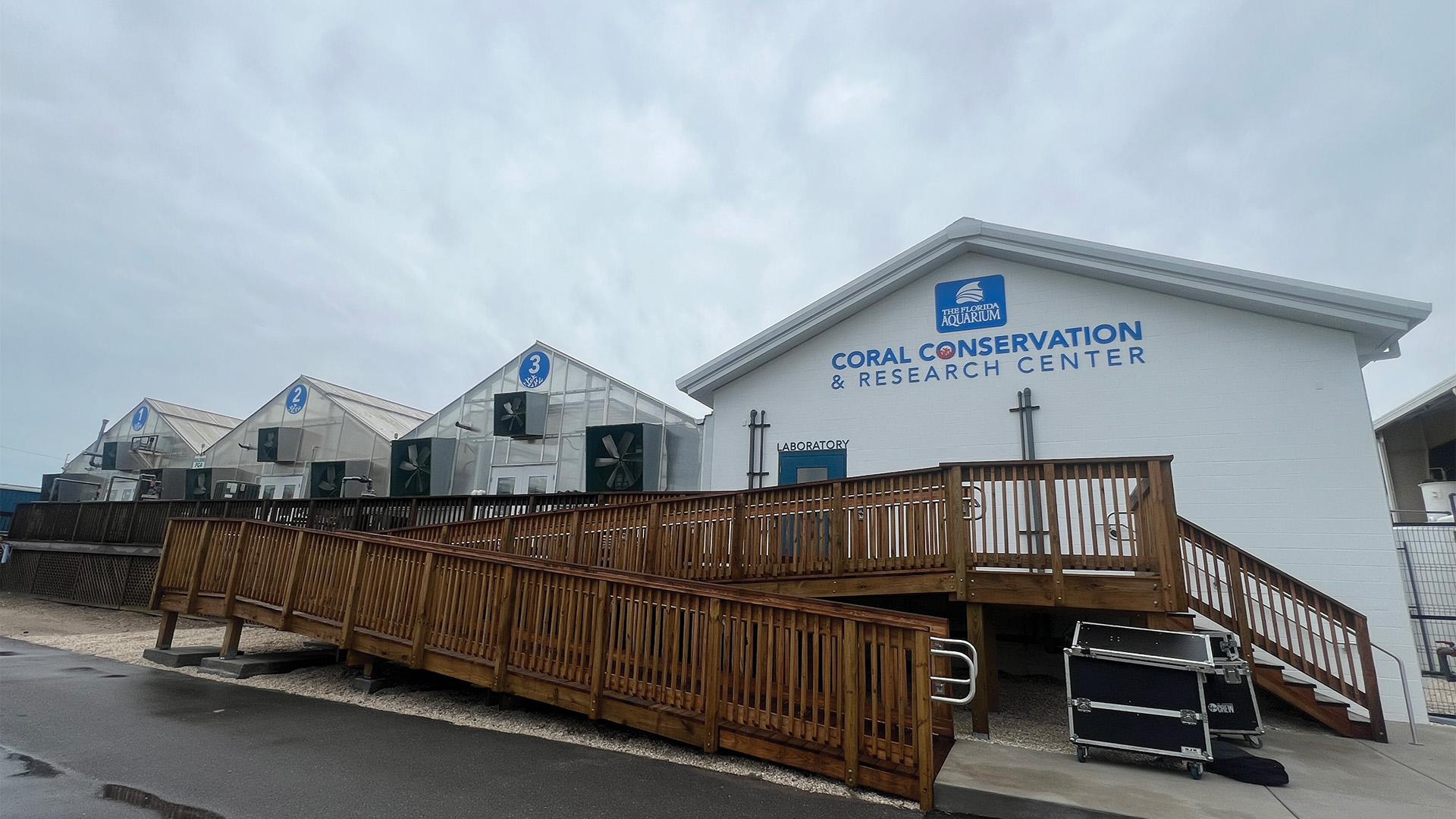 Pivotal Coral Species, Evacuated before Hurricanes, Return to Florida Aquarium