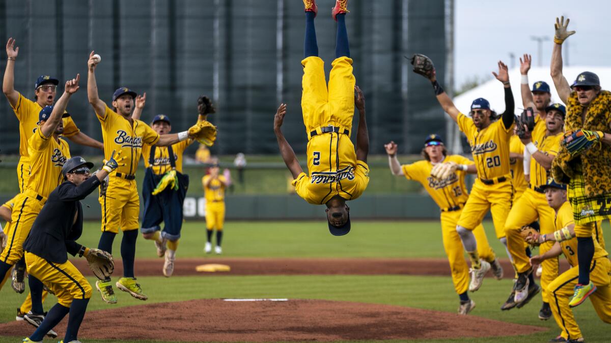 Savannah Bananas to Take the Field at Raymond James Stadium in Tampa in 2025