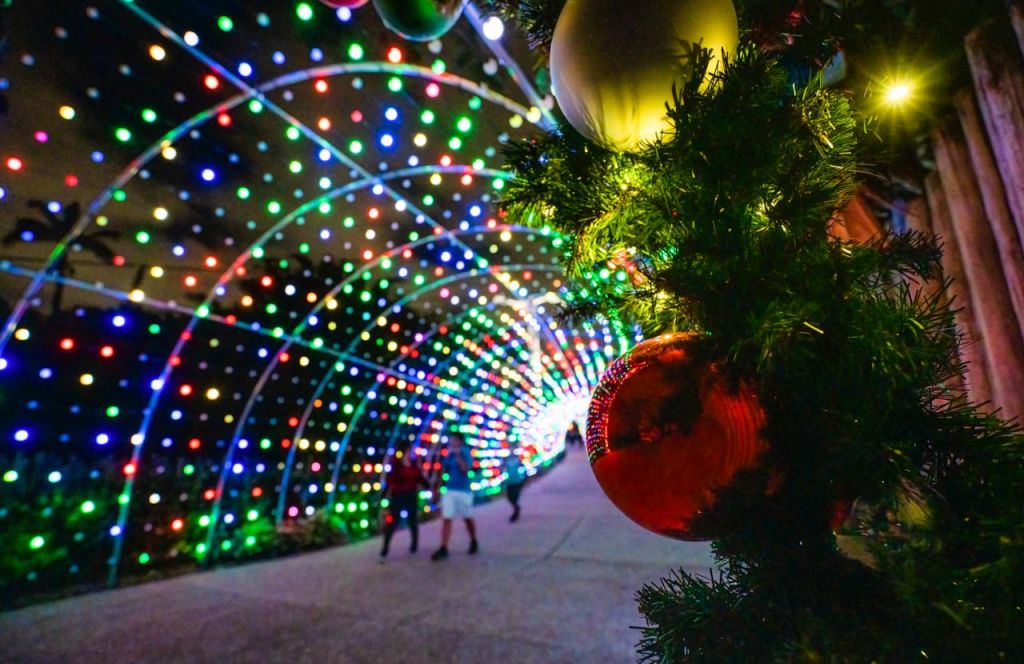 The Best Places to See Christmas Lights in Tampa&nbsp;Bay