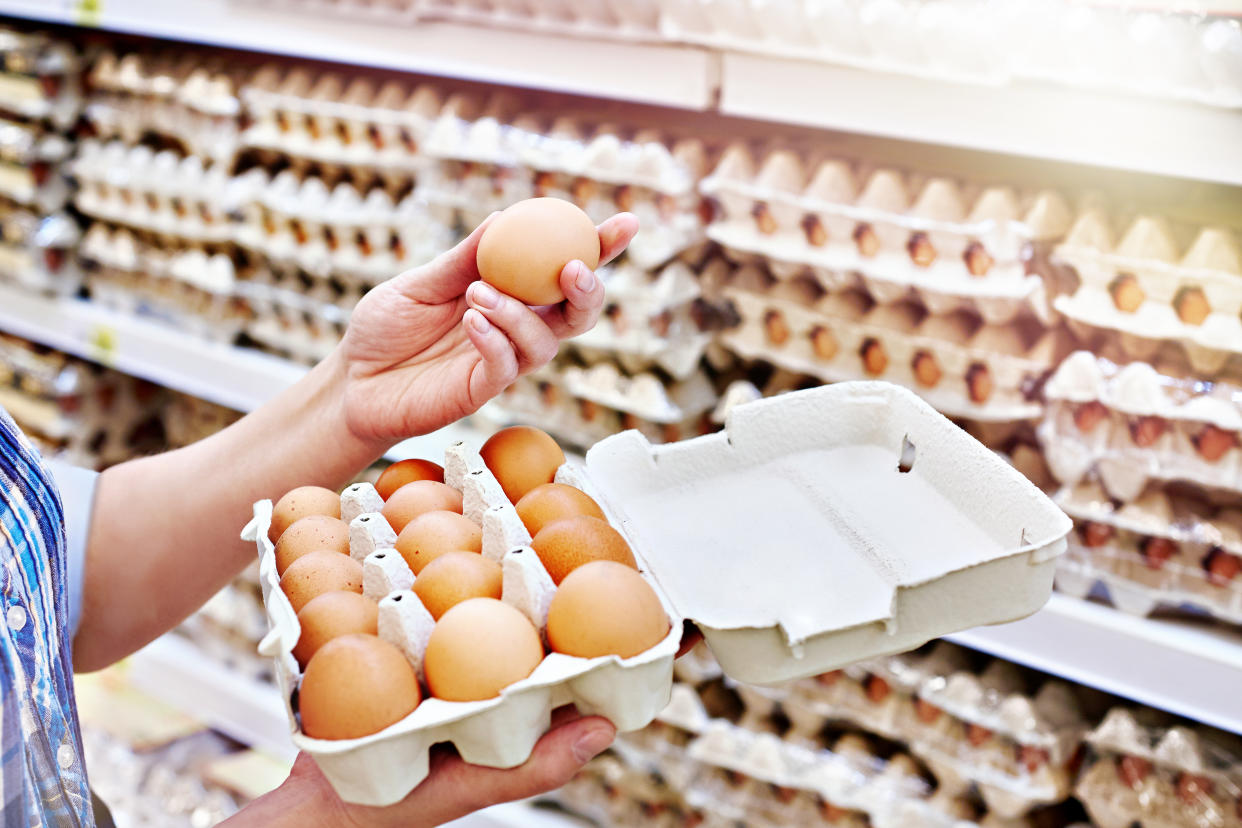 Egg Prices Persist at High Levels and Here’s the Reason Why