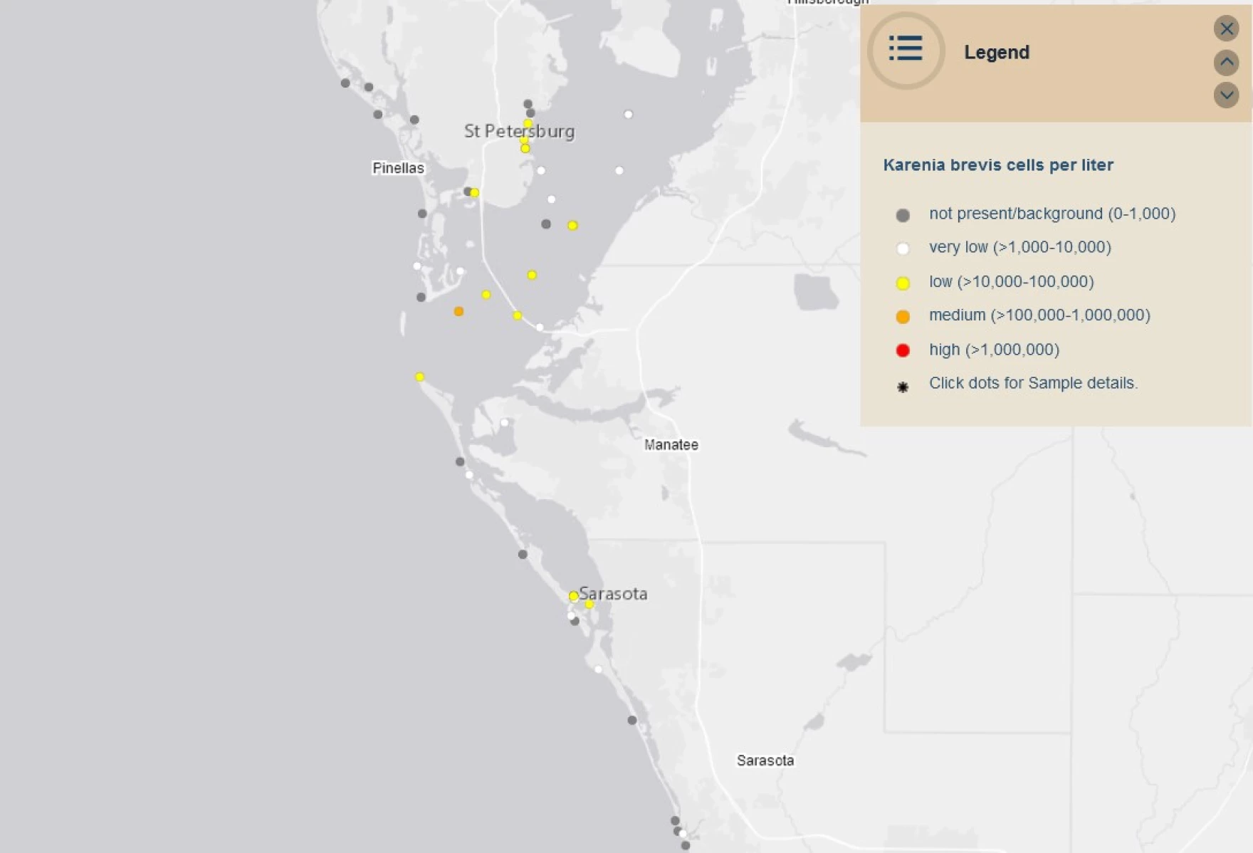 Red Tide Detected in Tampa Bay Near St. Petersburg