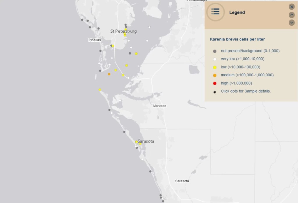 Red Tide Detected in Tampa Bay Near St.&nbsp;Petersburg