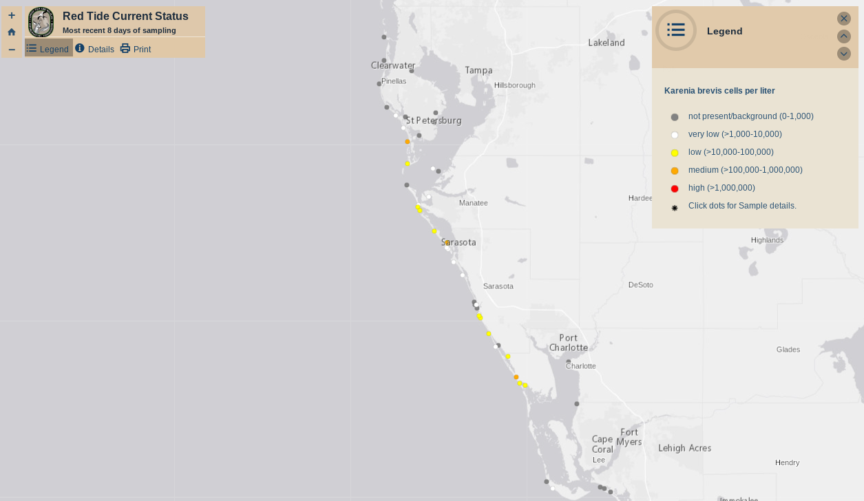 Red Tide Persists in Southern Pinellas, Manatee, and Sarasota Counties