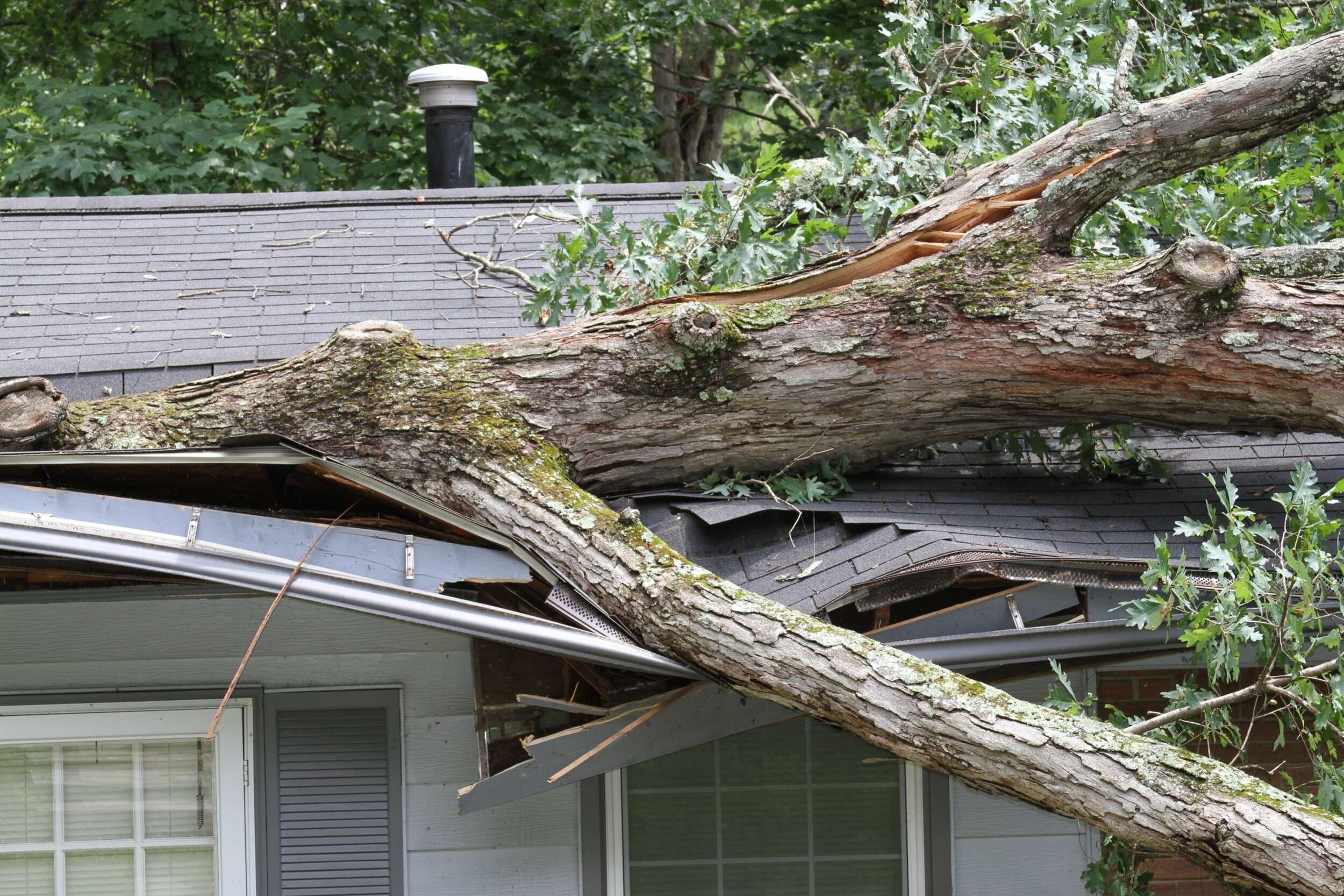 Who Pays If a Neighbor’s Tree Falls on My House?