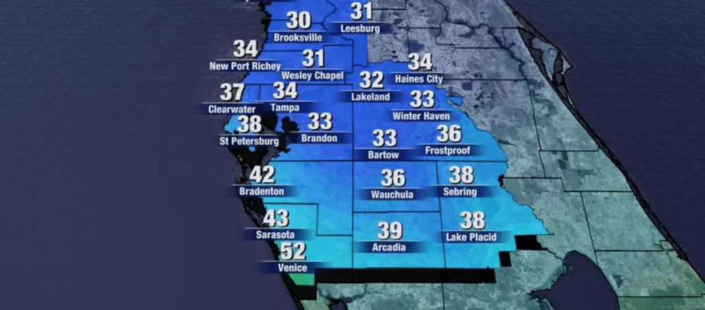 A Timeline of the Arctic Blast to Sweep Through Tampa&nbsp;Bay