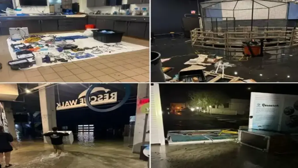 Clearwater Marine Aquarium Grapples with Big Financial Challenges