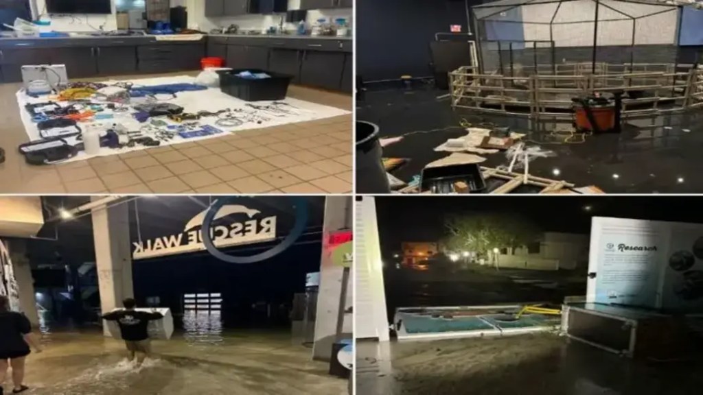 Clearwater Marine Aquarium Grapples with Big Financial&nbsp;Challenges