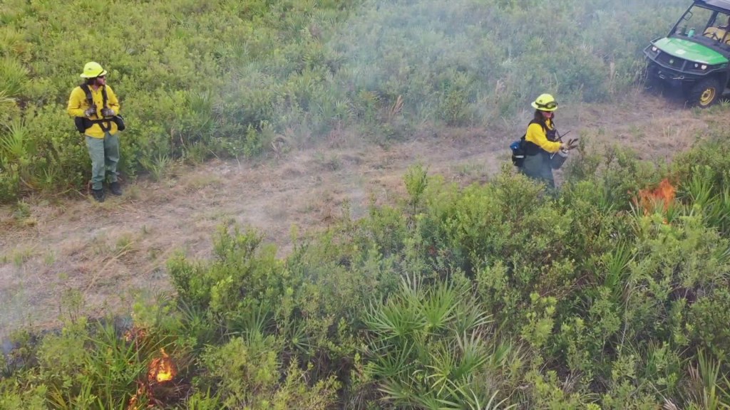 Hillsborough County Uses Prescribed Burns to Combat Wildfire&nbsp;Threat