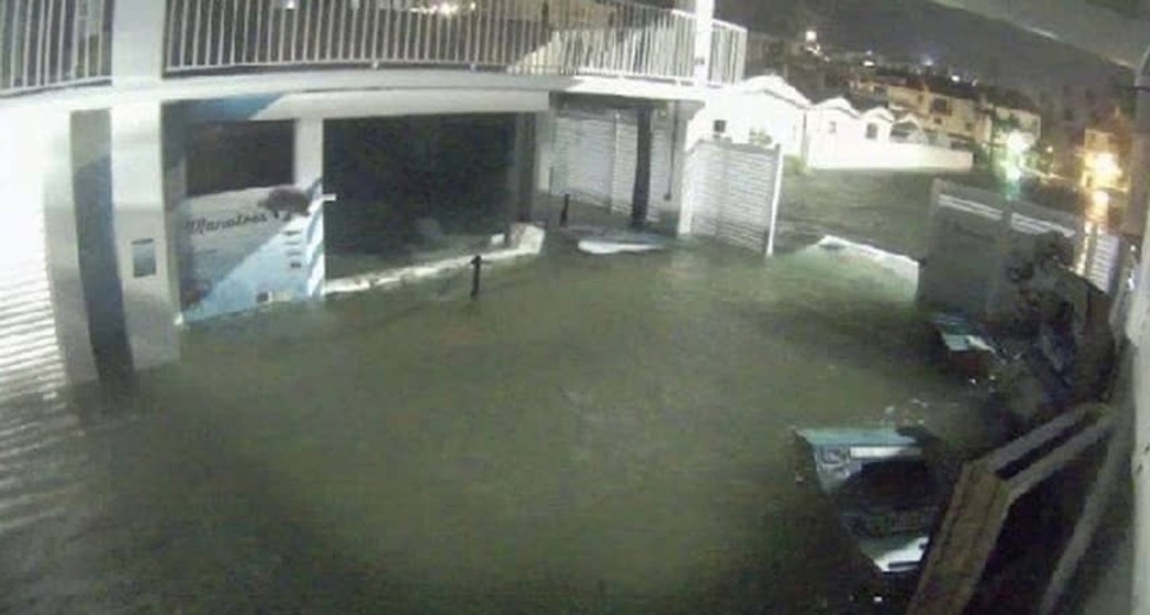 Hurricane Damage Forces Clearwater Marine Aquarium to Furlough Staff and Cut Salaries