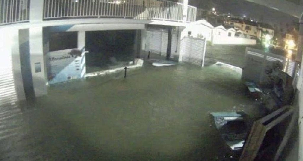 Hurricane Damage Forces Clearwater Marine Aquarium to Furlough Staff and Cut&nbsp;Salaries