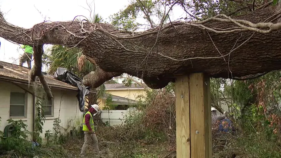 Neighbors, Local Companies Rally to Help Vietnam Veteran Restore Power After Hurricane