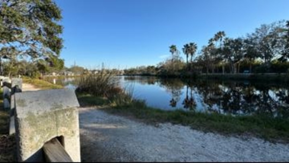 New Study Aimed at Resolving Flooding Issues in Gulfport&nbsp;Neighborhood