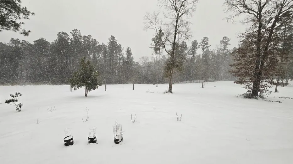 Unprecedented Snowfall Blankets Florida Panhandle