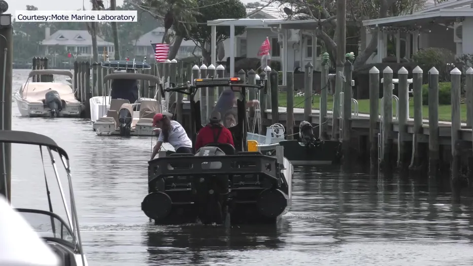 Mote Marine Laboratory Achieves 70% Red Tide Reduction in Field Trials