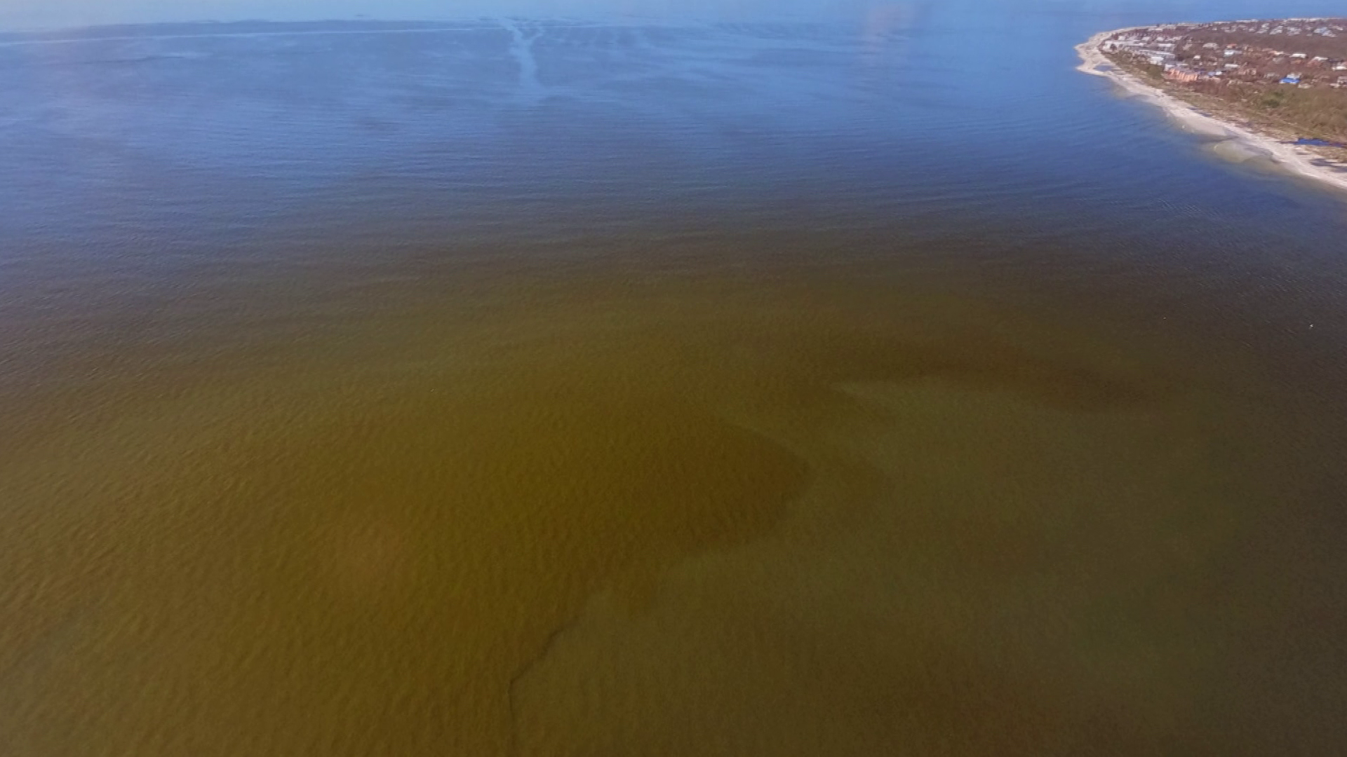 Mote Marine Study Links Red Tide to Ocean Acidification