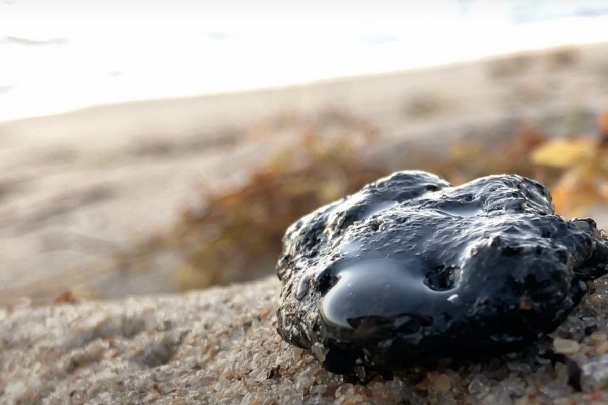 Sticky Black Masses Appearing on Florida Shores