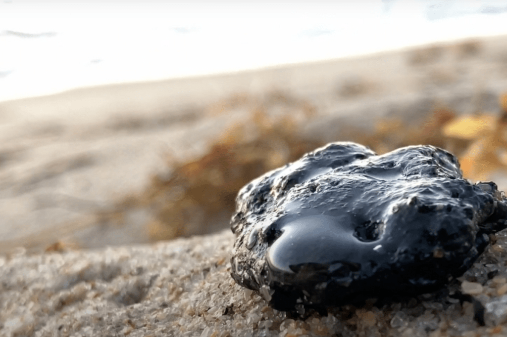 Sticky Black Masses Appearing on Florida&nbsp;Shores