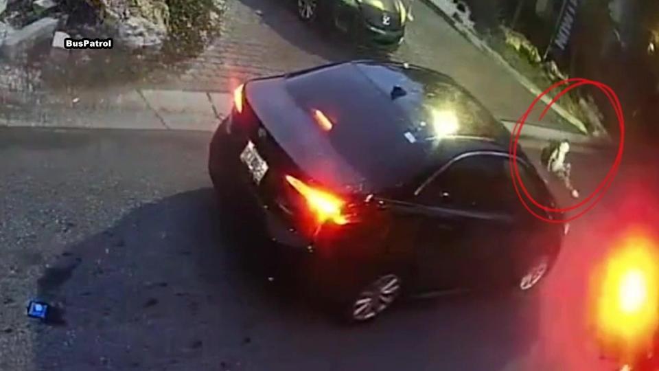 AI Technology Helps Local Schools Combat School Bus Stop Sign&nbsp;Violations