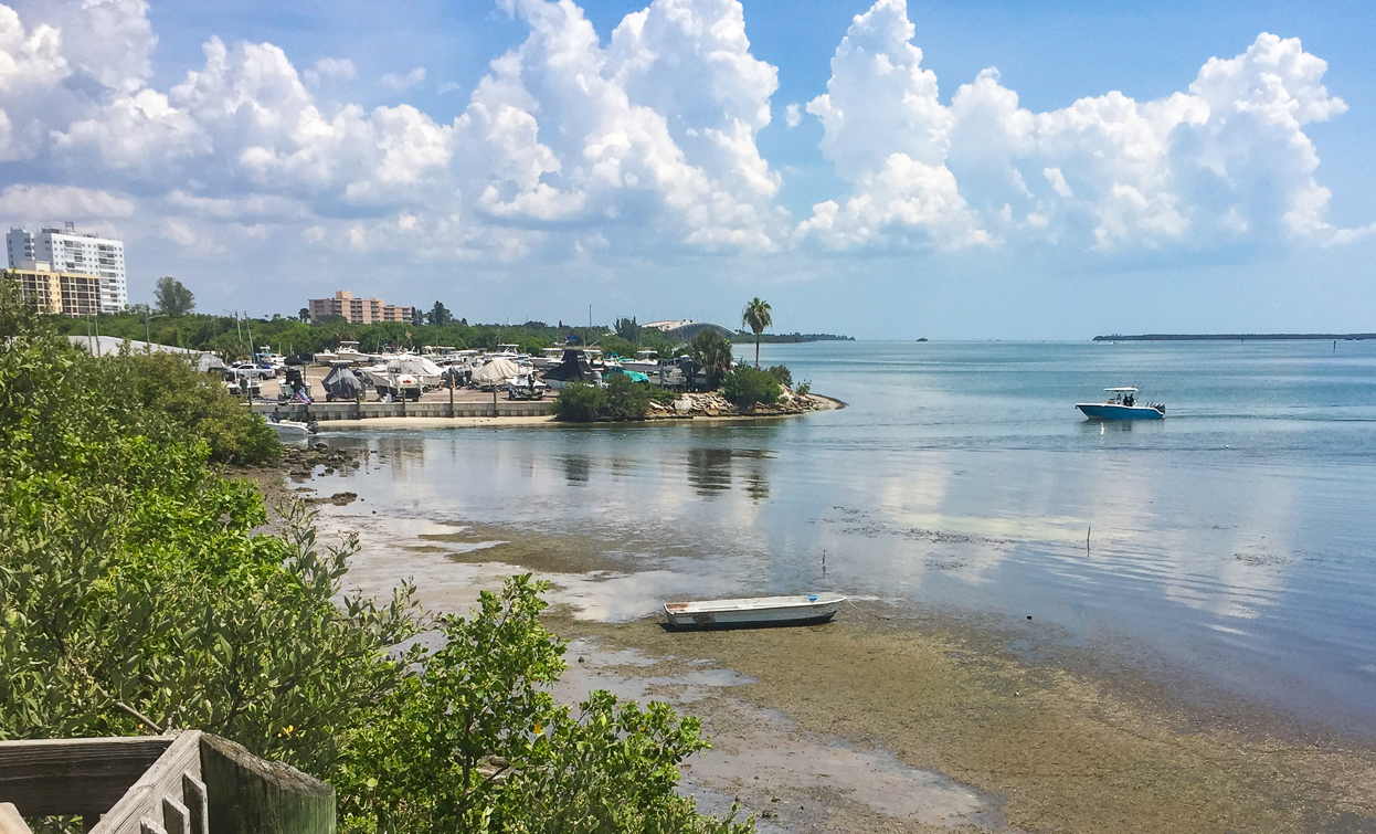 Environmental Resiliency Training Offers Opportunities for Local Contractors
