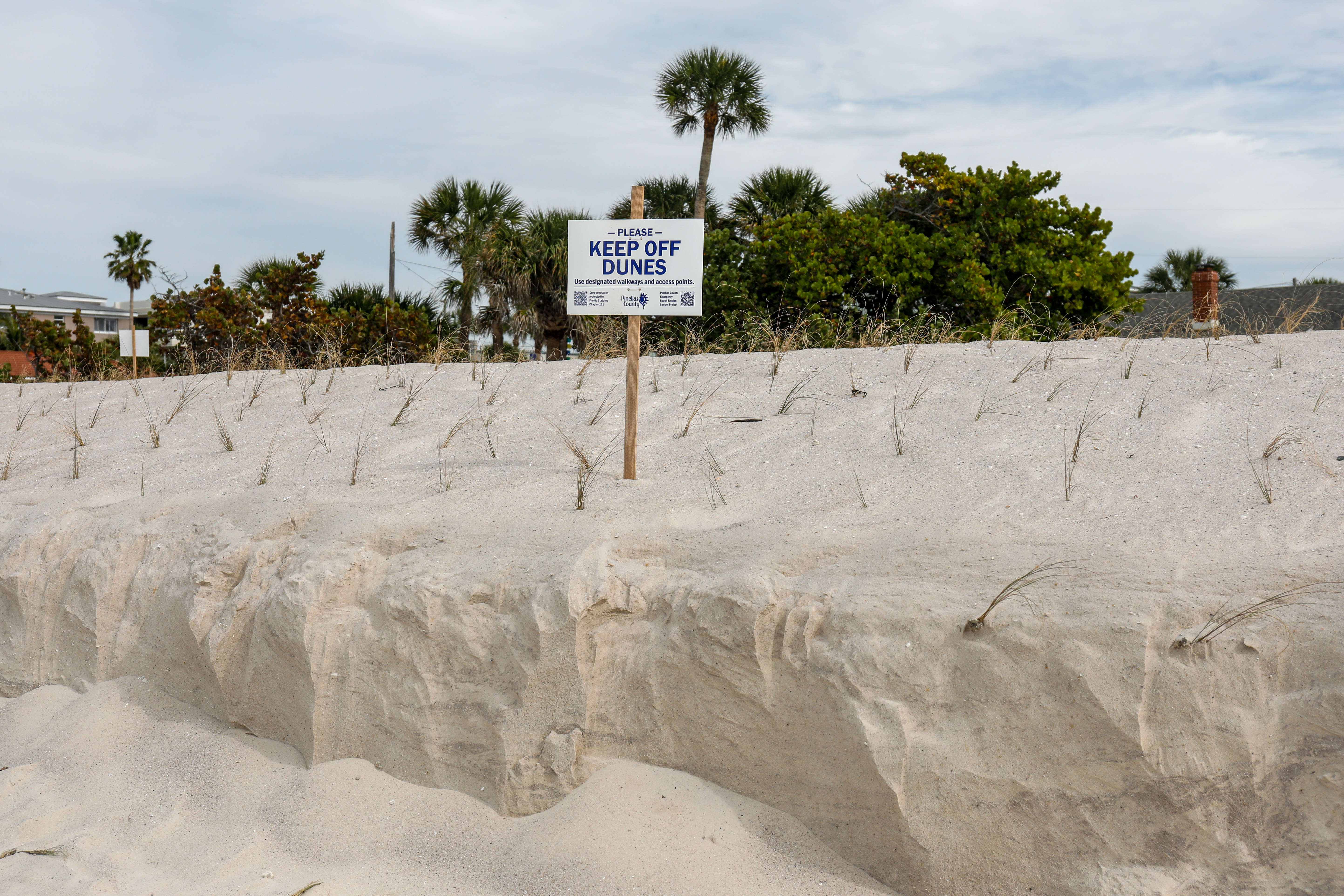 Indian Shores Business Owner Expresses Concern Over Beach Nourishment and Future Storms