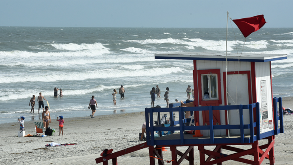 Sun, Sand, and… Sharks? Florida’s Most Dangerous Beaches Exposed