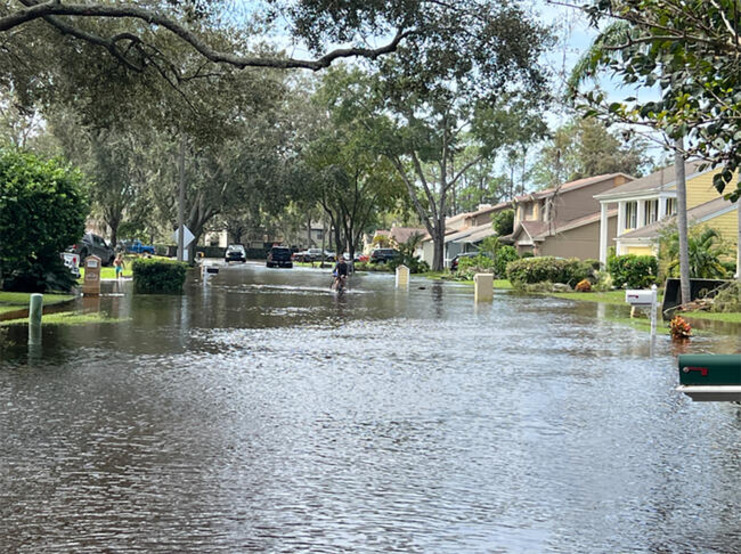 Tampa Launching New Homeowner Disaster Assistance Program After&nbsp;Hurricanes