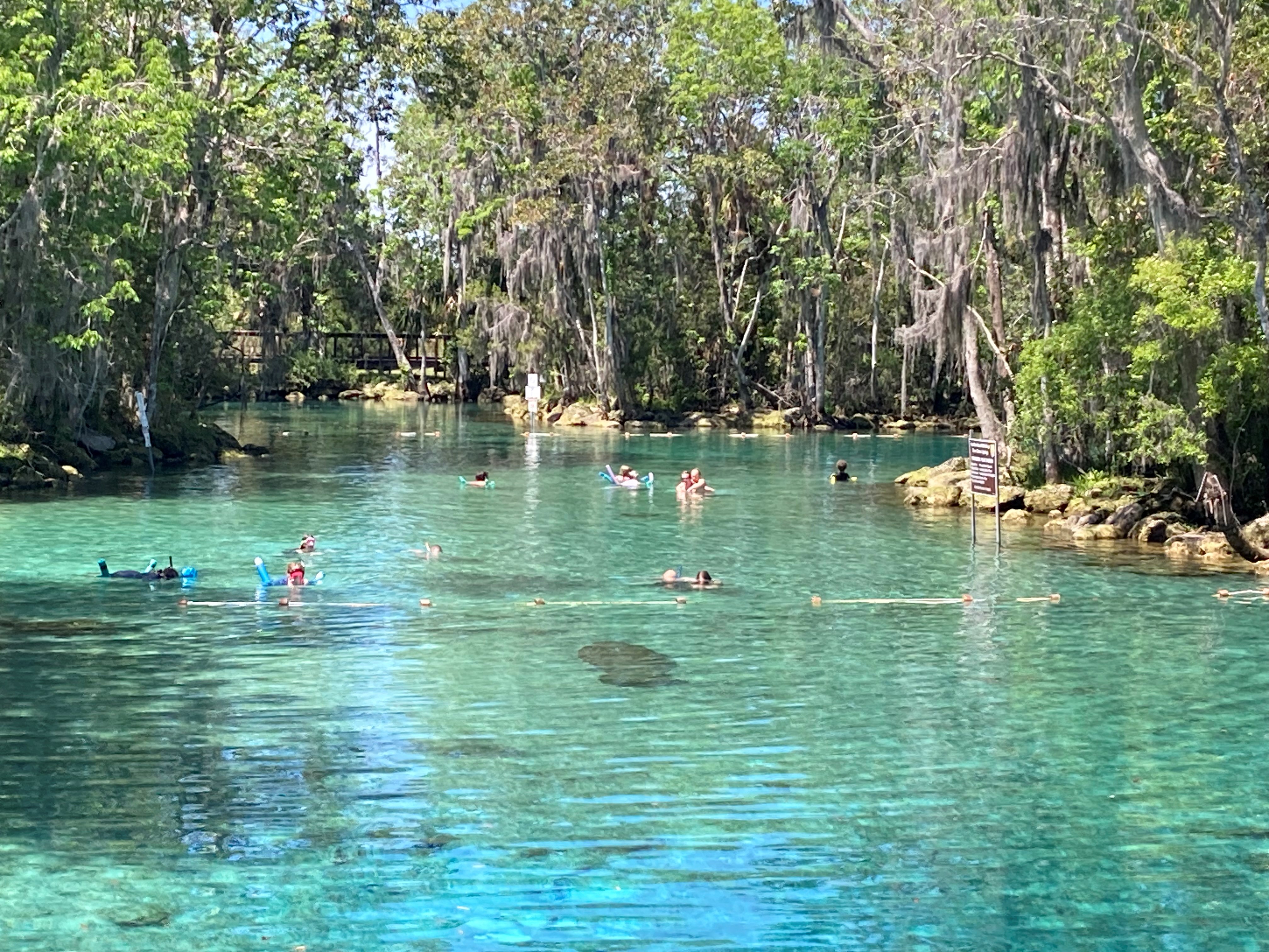 Florida Springs Face Challenges from Pollution, Overpumping, and Hurricanes