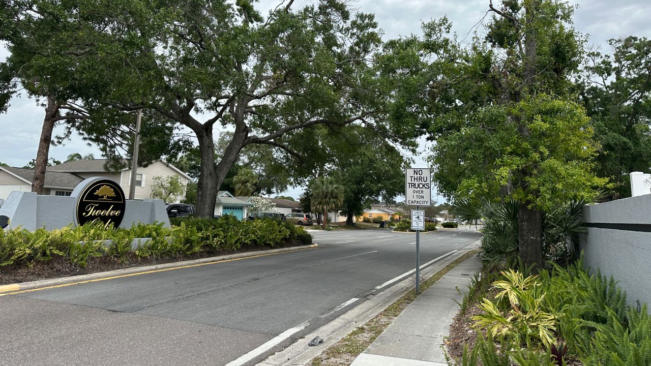 Hillsborough County Resident Leads Effort to Remove Dying Trees Before Hurricane Season
