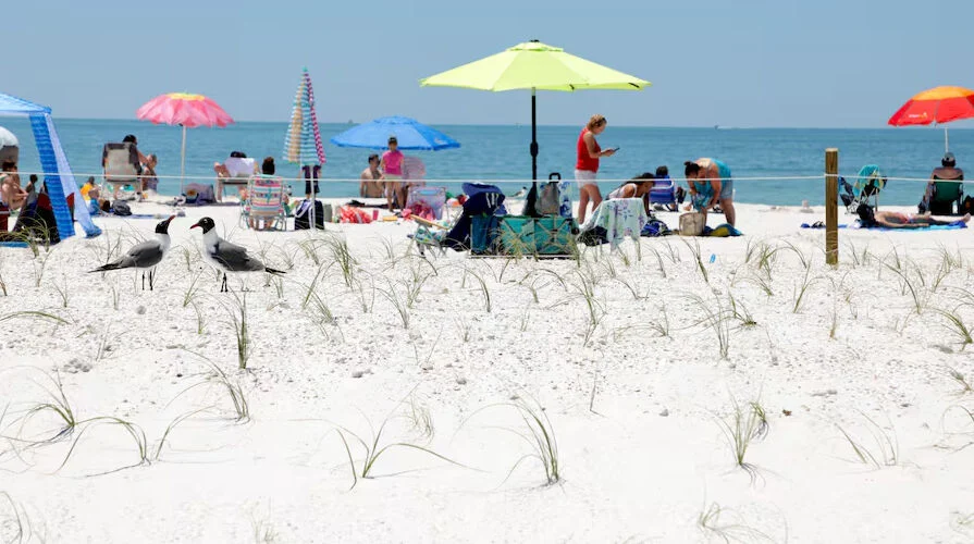 Honeymoon Island State Park Partially Reopens After Major Storm Repairs