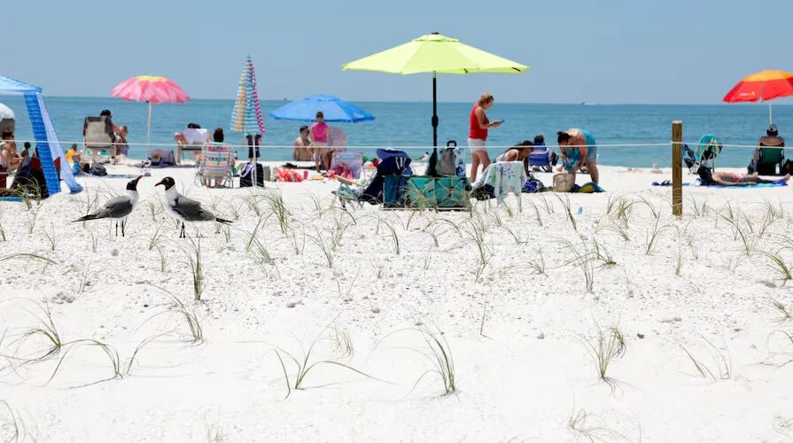 Honeymoon Island State Park Partially Reopens After Major Storm&nbsp;Repairs