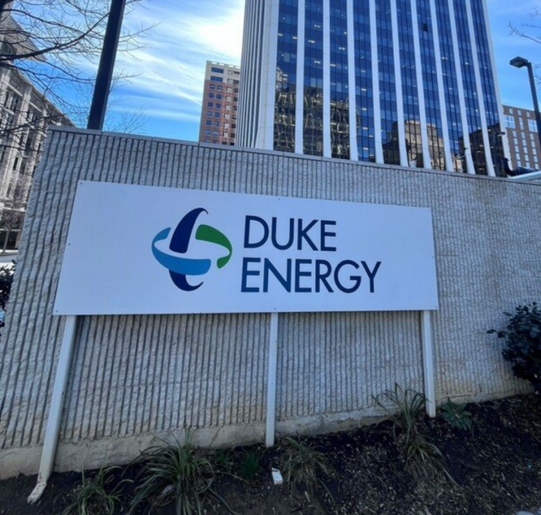 St. Pete Council Member, Activists Rally Support to Replace Duke Energy with City-Run Utility