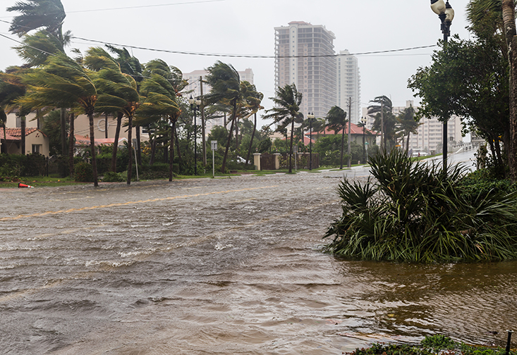 USF St. Pete Continues to Evaluate Millions in Storm Damage