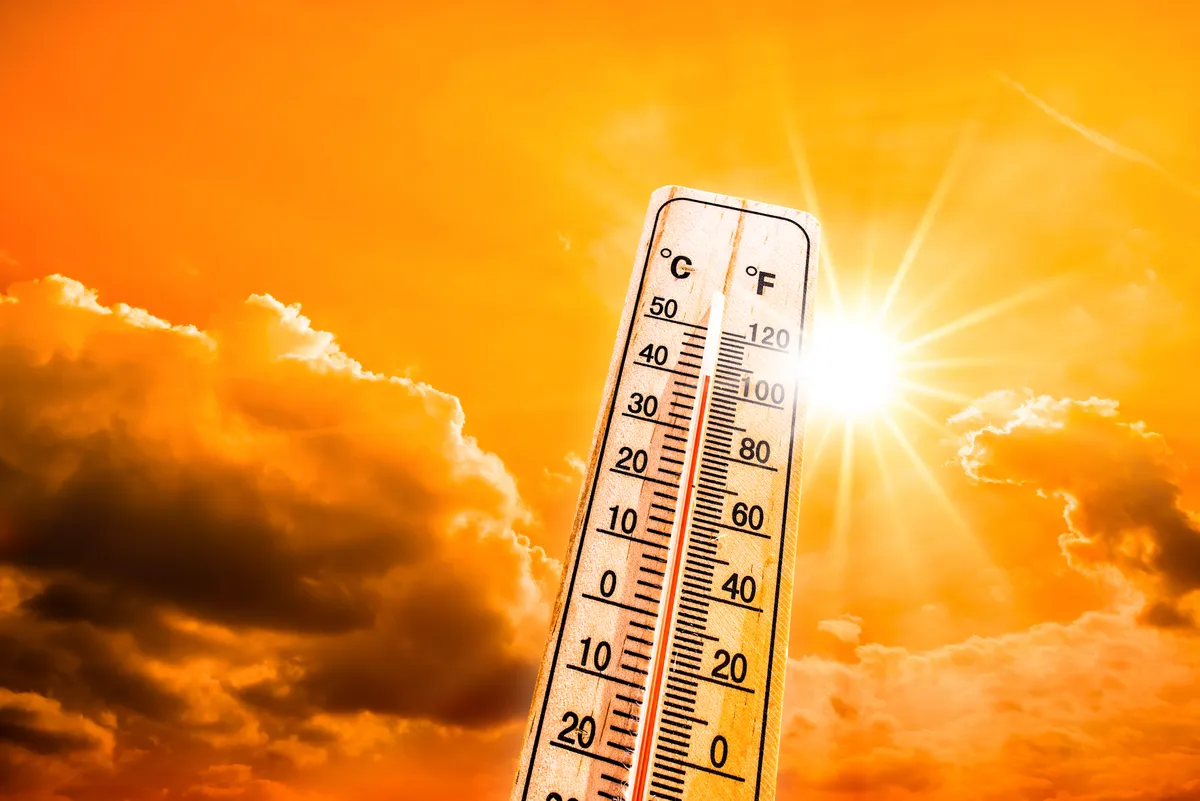 Blistering Early Heatwave Grips Tampa Bay, More Sweltering Days Ahead