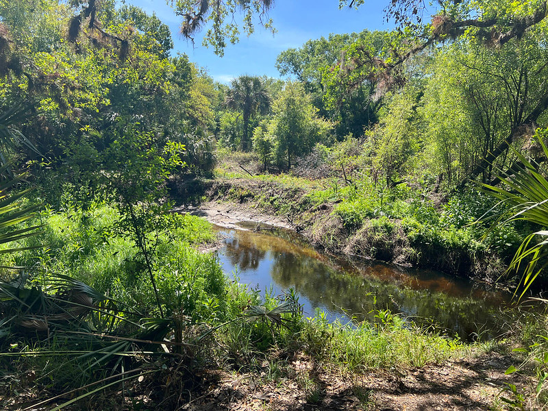 Myakkahatchee Creek Cleanup Aims to Ease Flooding Fears in North&nbsp;Port