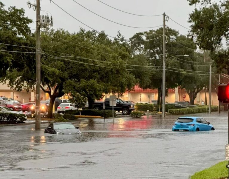 St. Pete Residents and City Officials Unite to Tackle Chronic Flooding